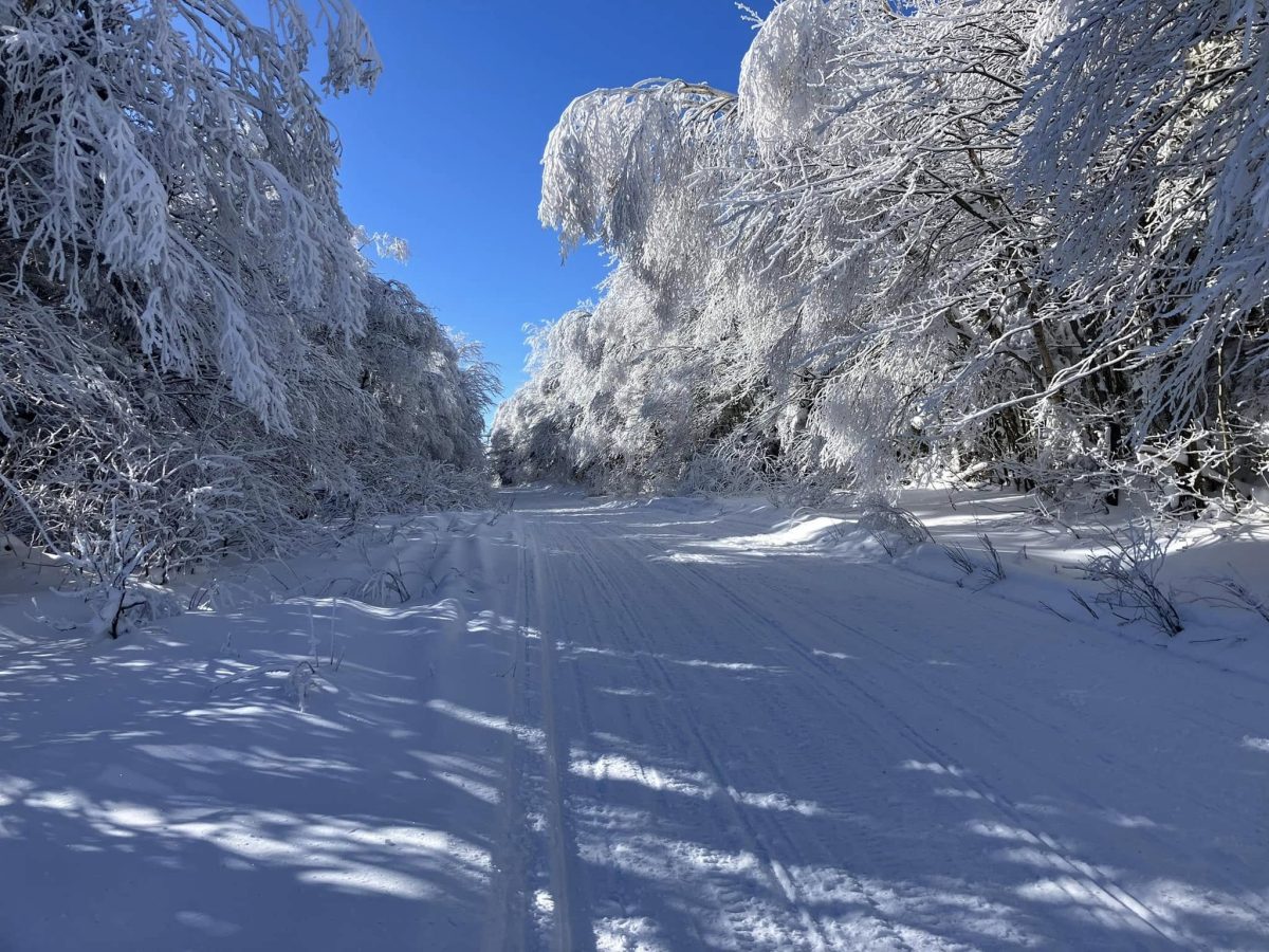 Lamoille Valley snowmobile riding area