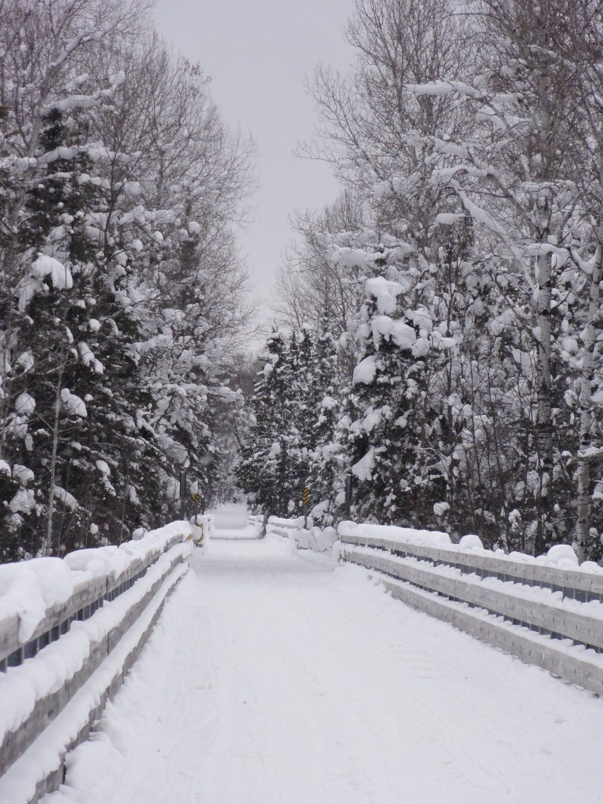 Northeast snowmobile riding area