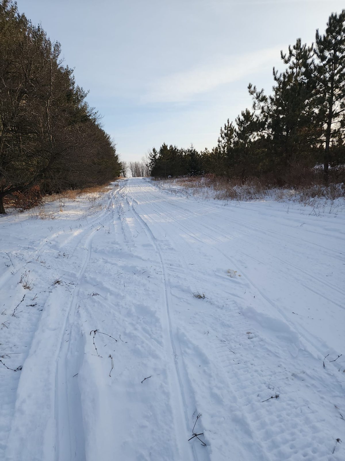 Sanilac County snowmobile riding area
