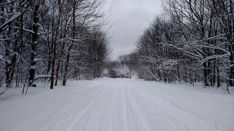 Delaware State Forest snowmobile riding area