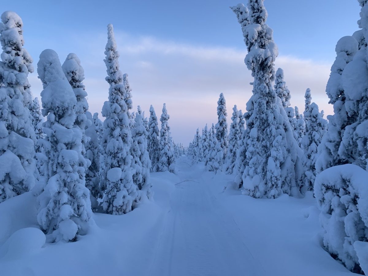 White Mountains National Rec snowmobile riding area