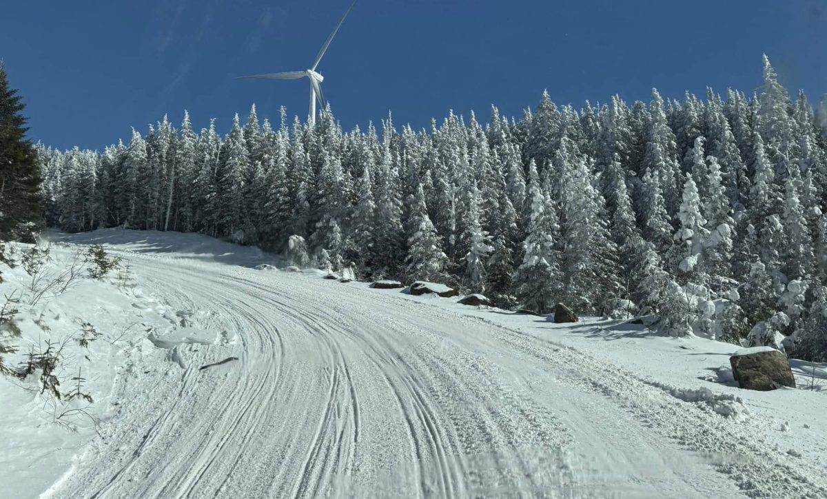 Colebrook snowmobile riding area