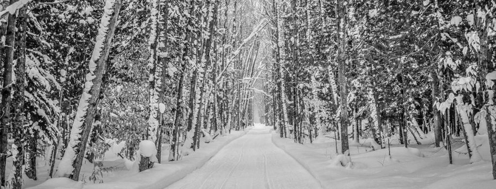 Gaylord snowmobile riding area