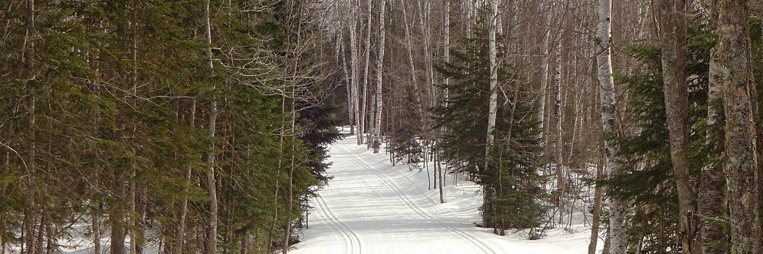 Snowmobile riding near Ironwood