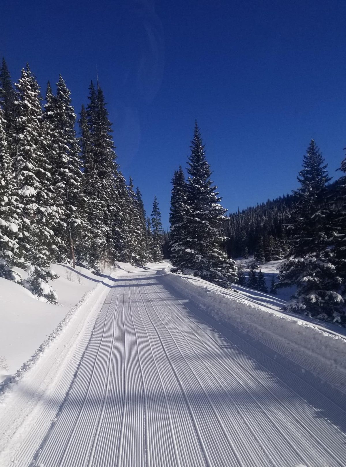 Cimarron snowmobile riding area