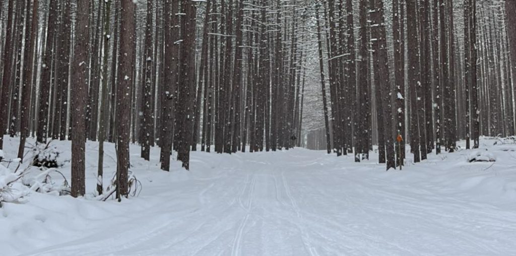 Cadillac snowmobile riding area