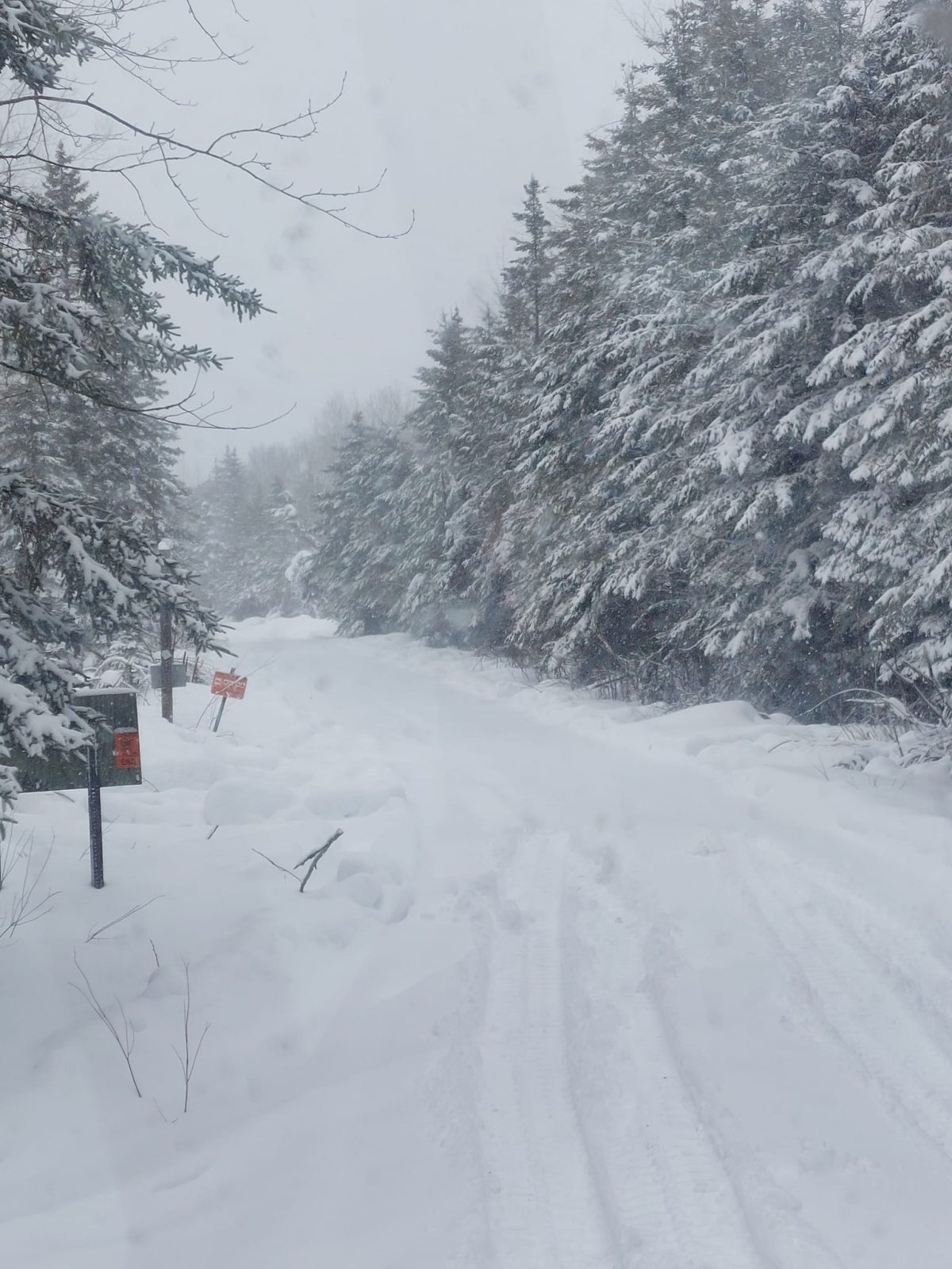 Soo Line North snowmobile riding area