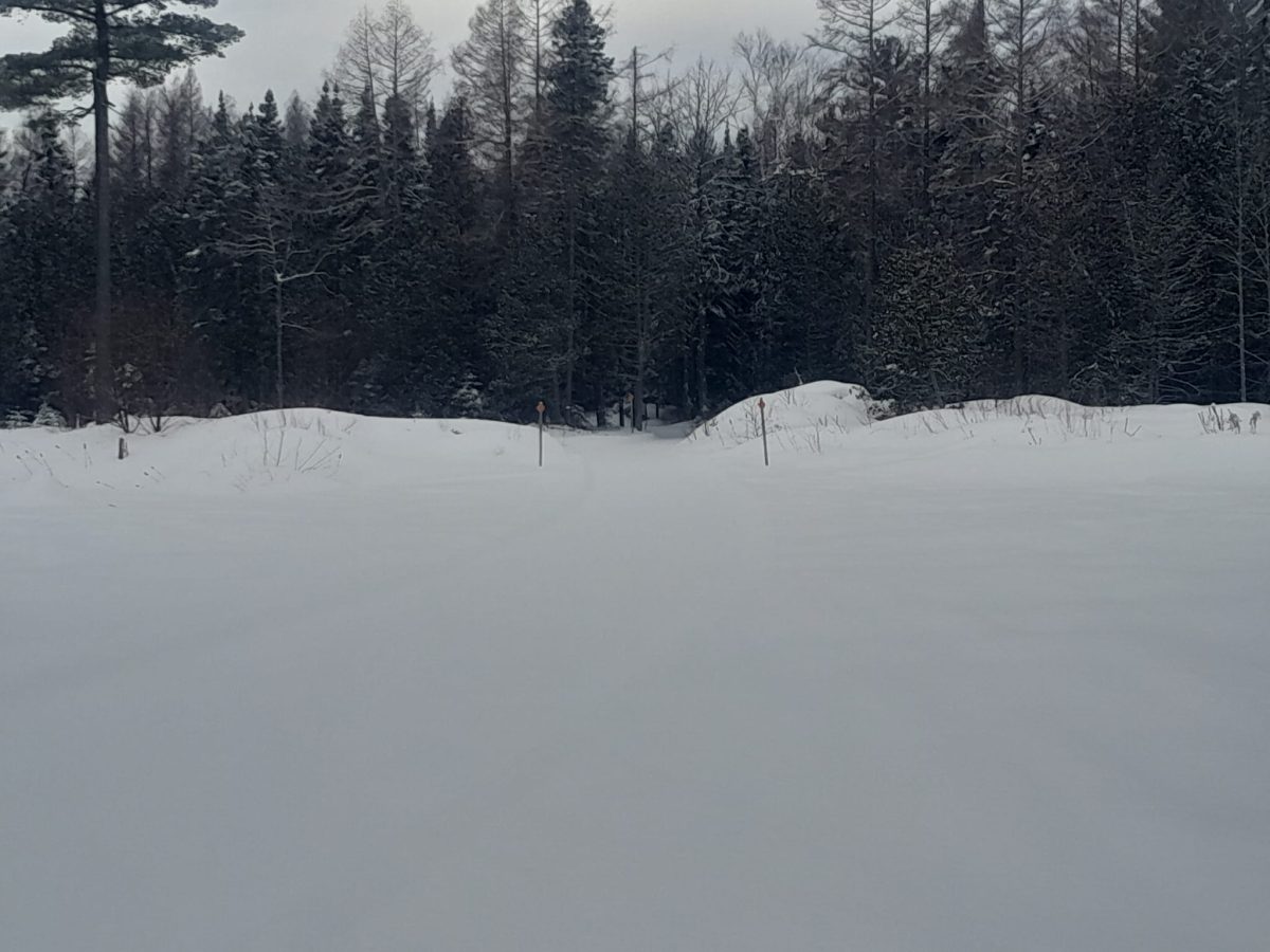 Pine Stump/Newberry snowmobile riding area