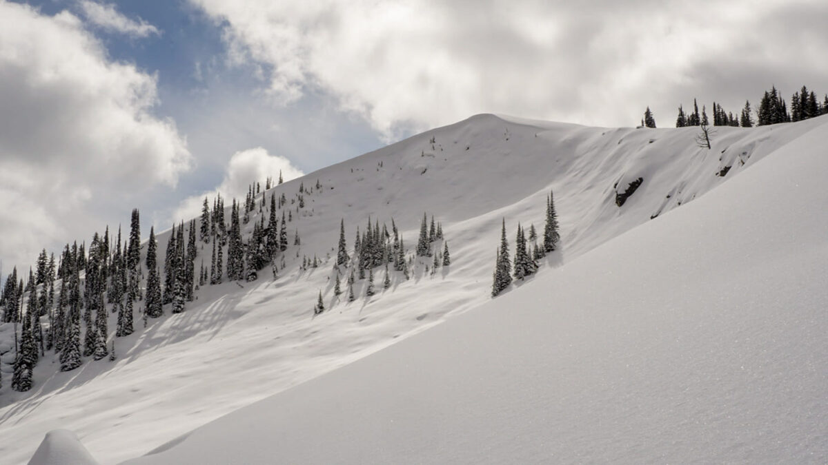 Flathead Valley snowmobile riding area