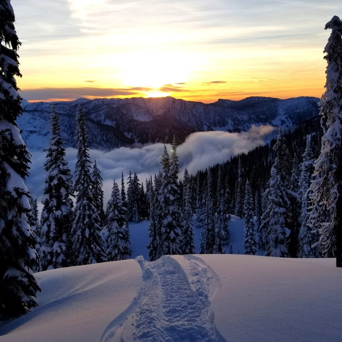 Revelstoke snowmobile riding area
