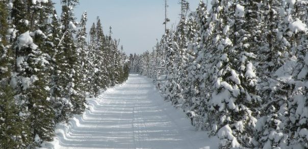 Blue Ox snowmobile riding area