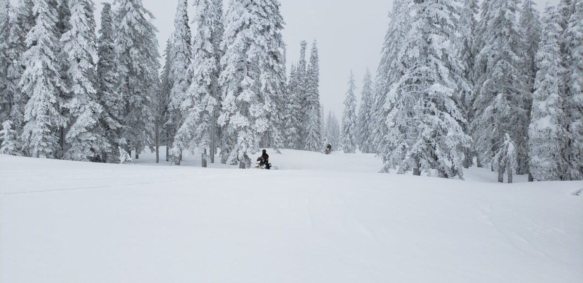 Woodland/Tollgate snowmobile riding area