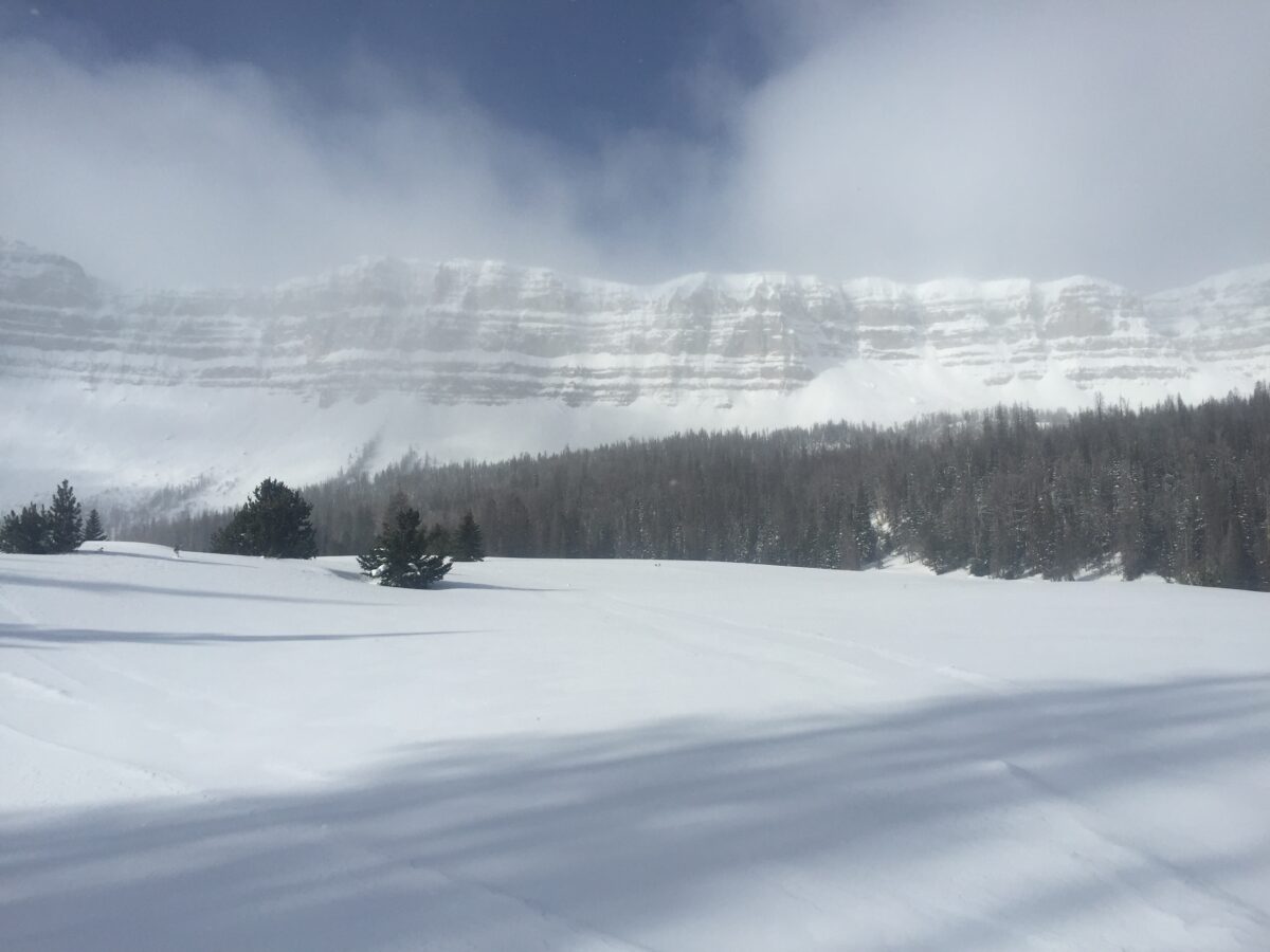 Togwotee snowmobile riding area