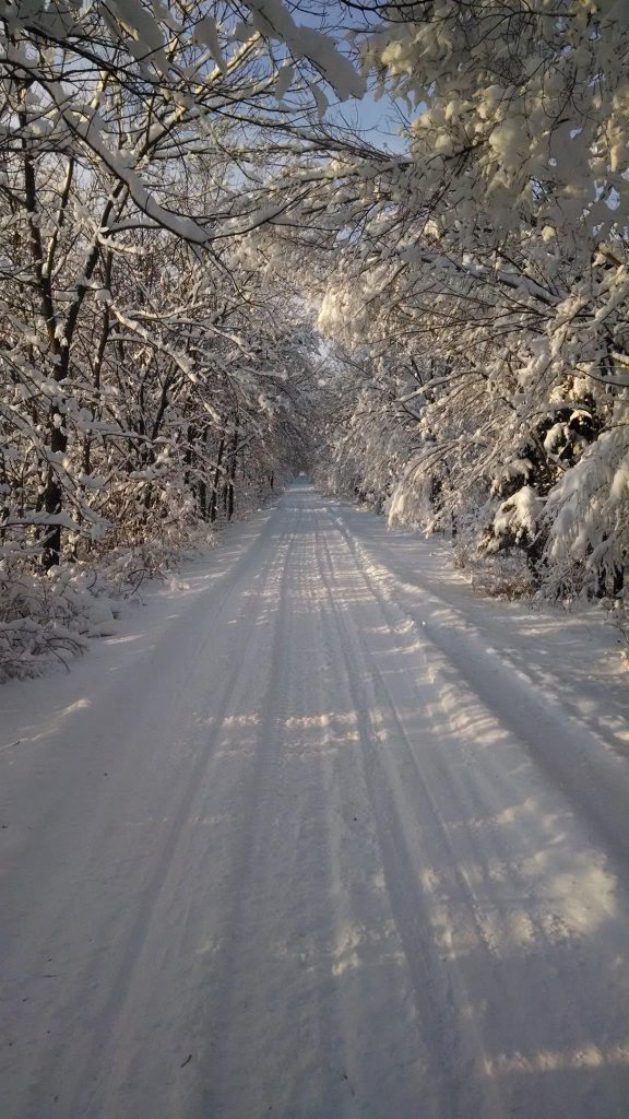 Central snowmobile riding area