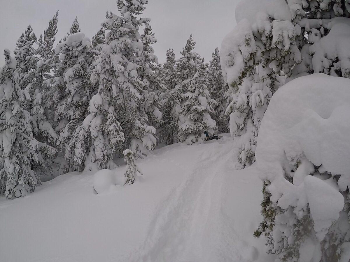 Trestle Creek snowmobile riding area