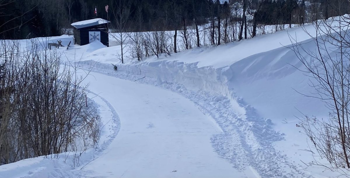 Northeast Kingdom snowmobile riding area