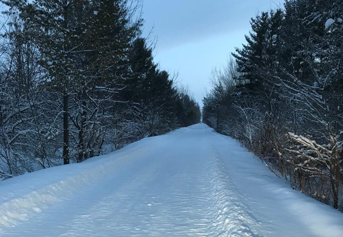 Cheboygan snowmobile riding area