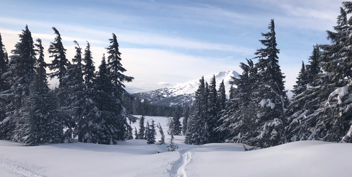 Mt Bachelor Area snowmobile riding area