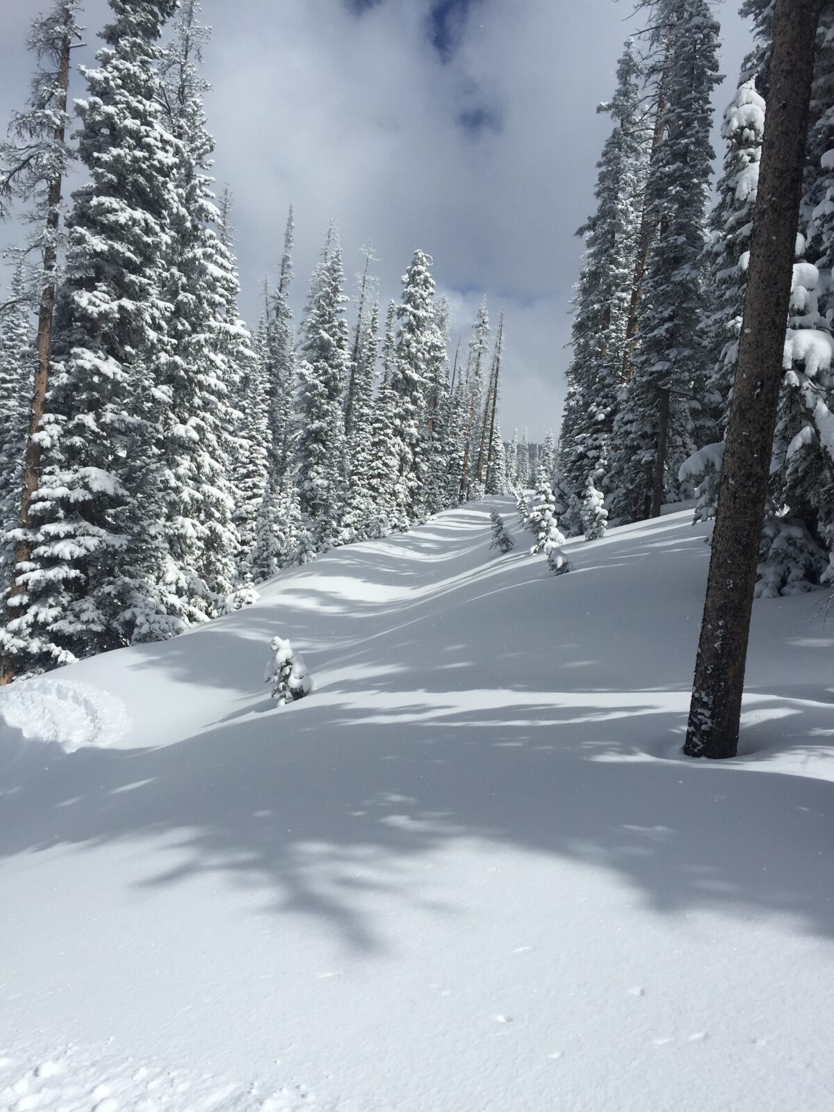 SE Wind Rivers(South Pass) snowmobile riding area