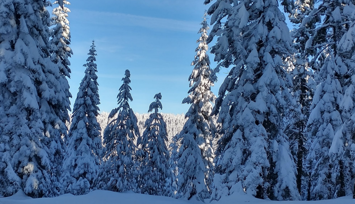 Ashpan snowmobile riding area