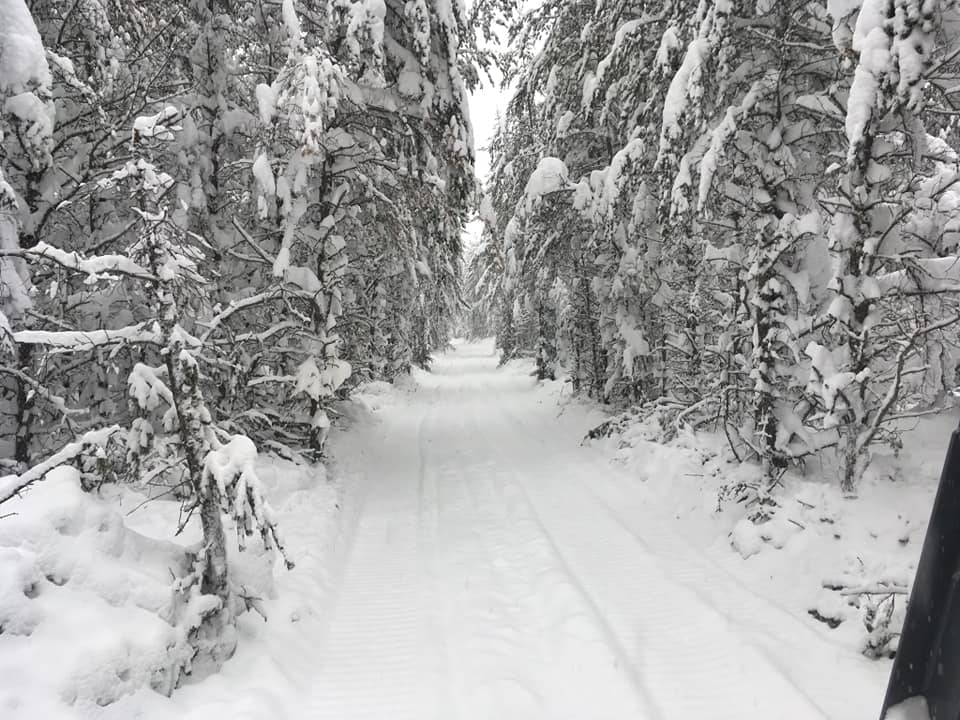 Marquette County snowmobile riding area