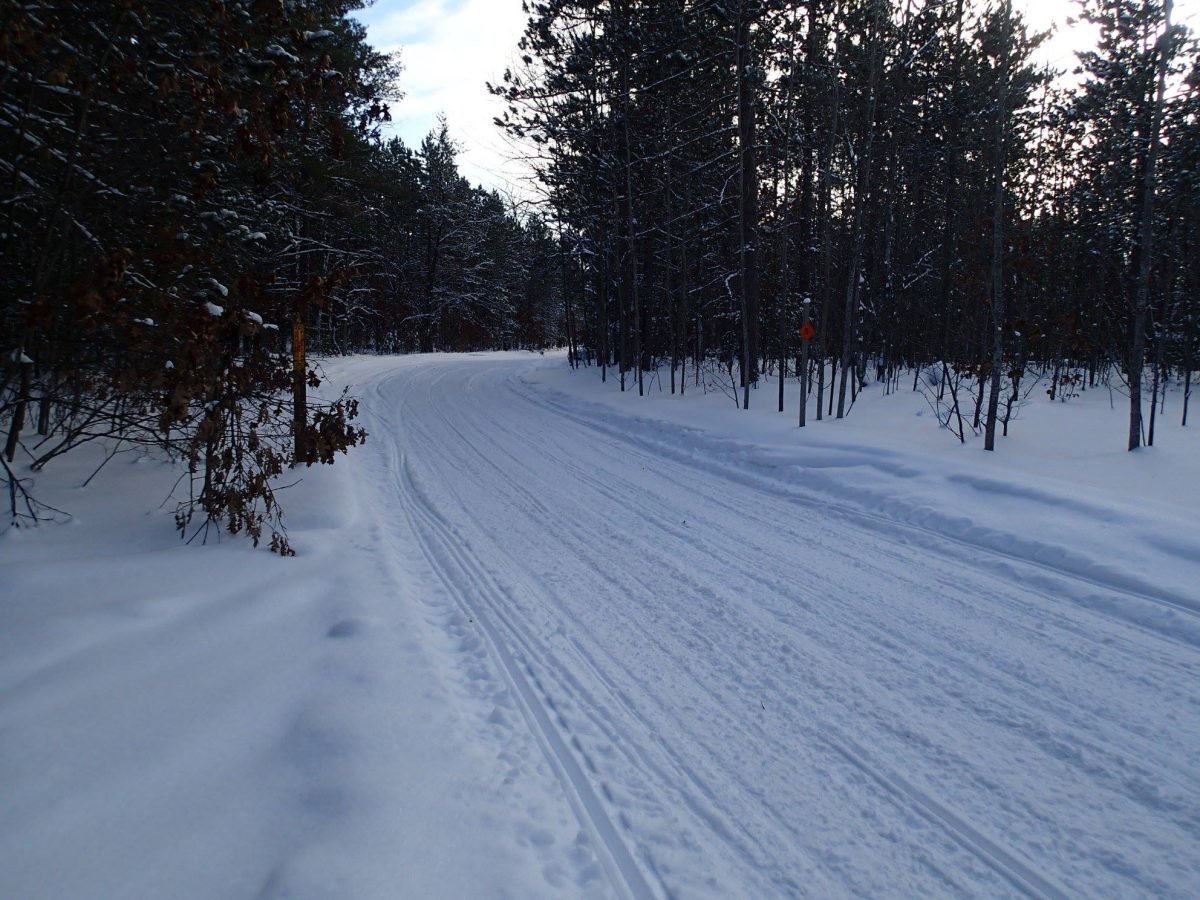Traverse City snowmobile riding area