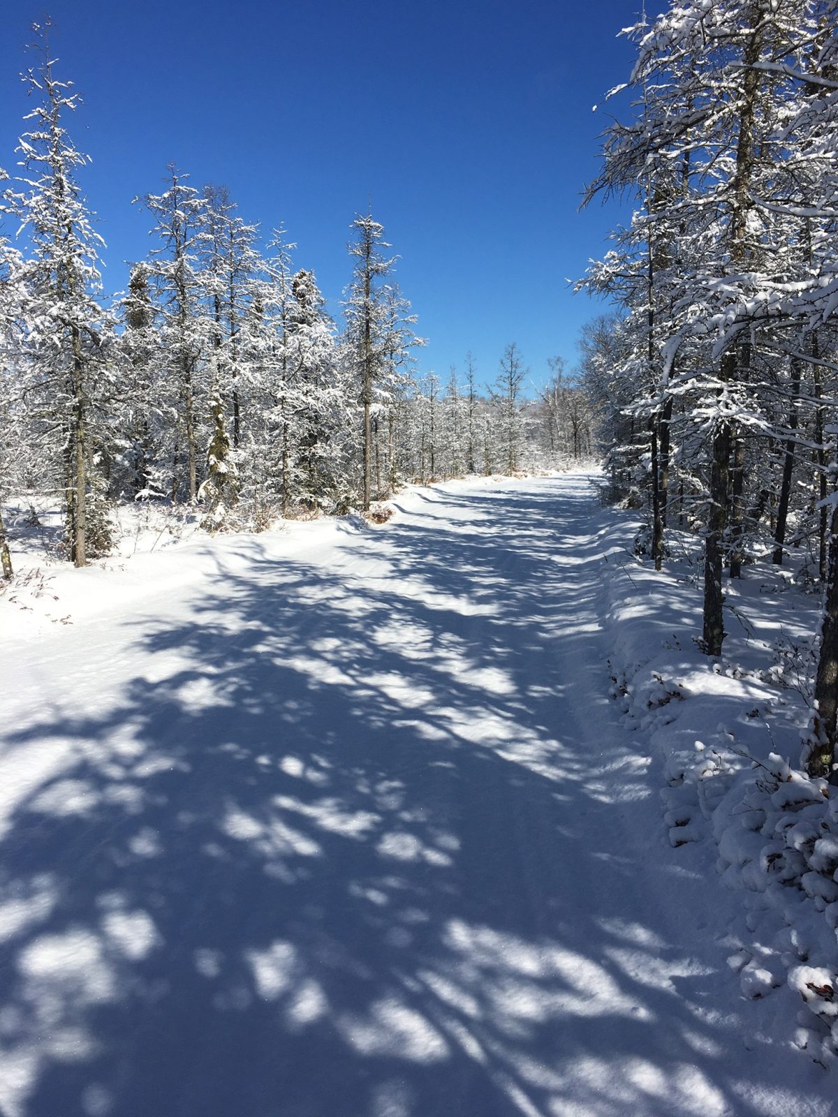 Soo Line South snowmobile riding area