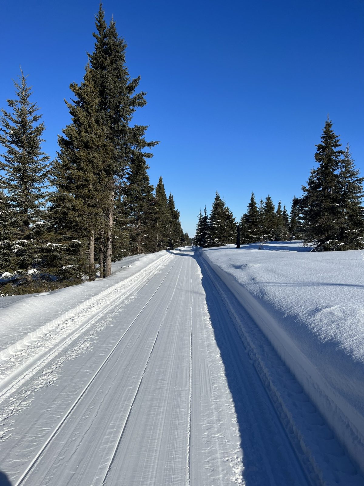 Caribou Hills snowmobile riding area