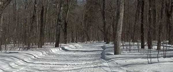 Superior National Forest snowmobile riding area