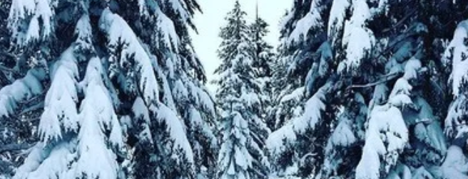 Mammoth Lakes snowmobile riding area
