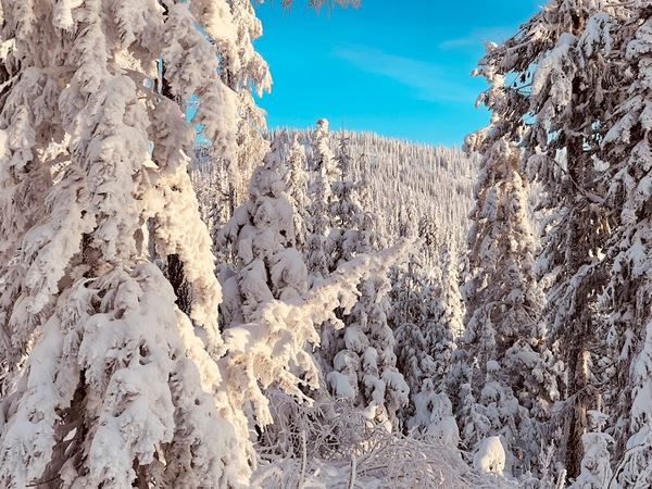Coeur d’Alene snowmobile riding area
