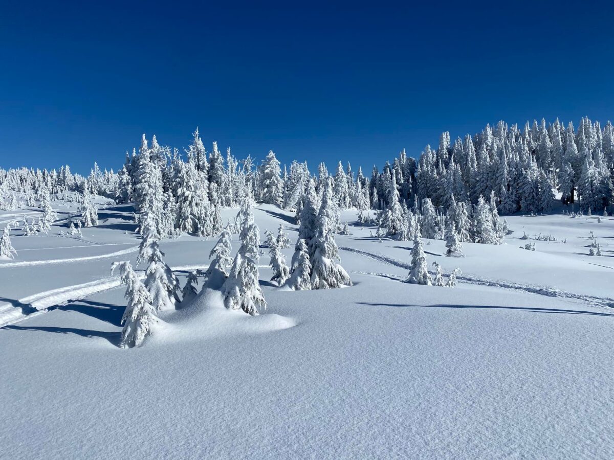 Walton snowmobile riding area