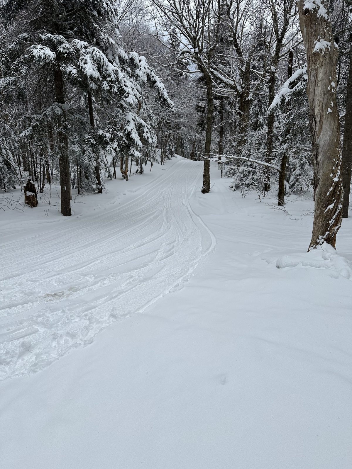 Champlain Valley snowmobile riding area